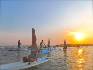YOGA　MUDRA2016