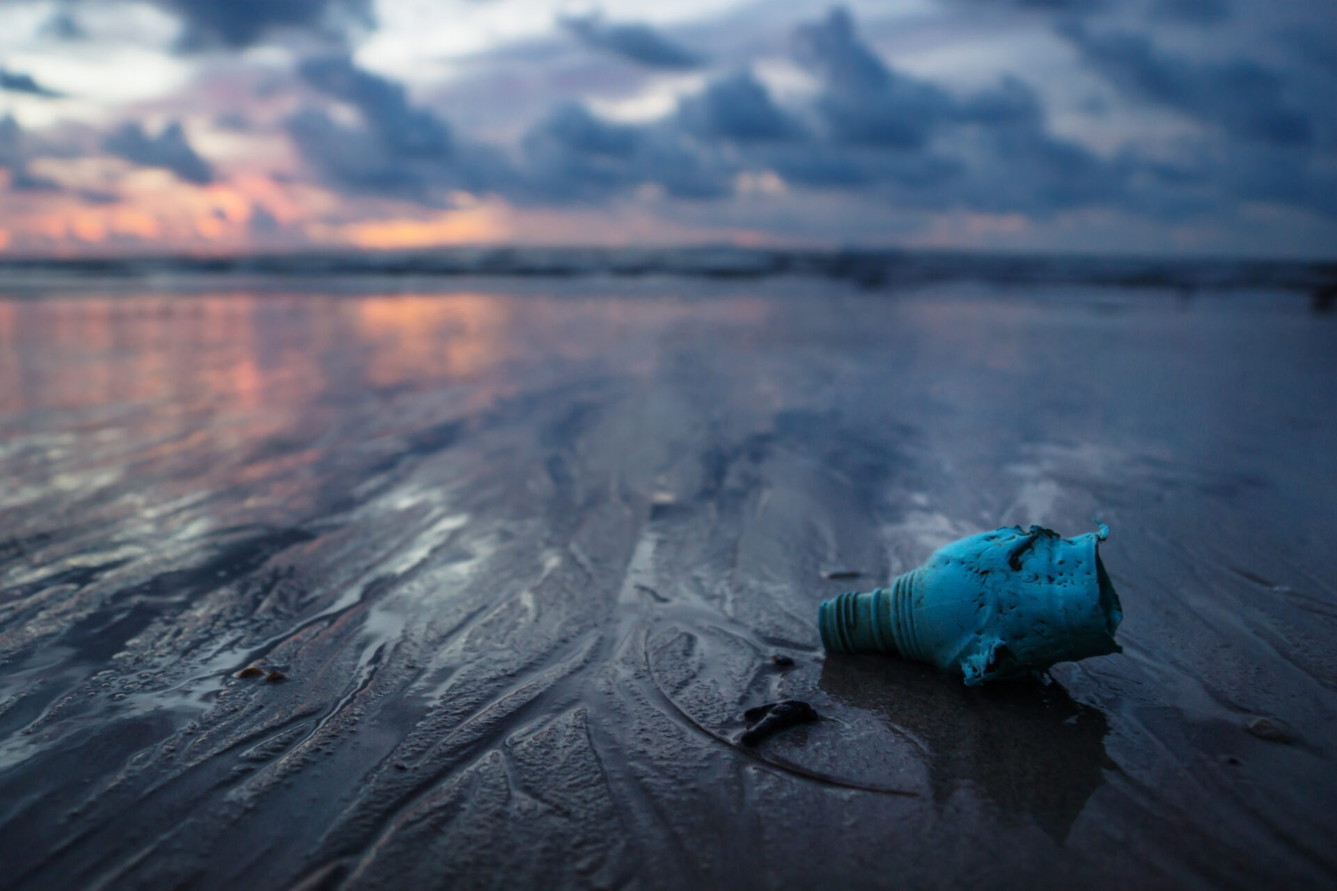 プラスチックごみ問題とは？世界と日本の環境問題への取り組みも紹介